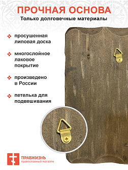 Икона Преподобный Стилиан Пафлагонский