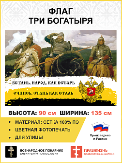 Флаг 250 Встань народ как встарь очнись стань как сталь триколор 90х135 материал сетка для улицы