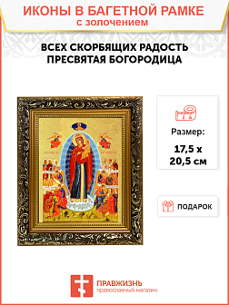 Икона Божией Матери "Всех Скорбящих Радость" с золочением поталью, 03009-УЛ