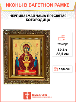 Образ Божией Матери "Неупиваемая Чаша", 03Н1