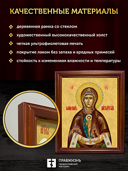 Икона Божьей Матери Албазинская, деревянная рамка со стеклом 15х18х2 см 1181