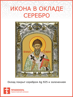 Икона СПИРИДОН Тримифунтский, Святитель