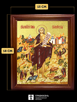 Икона Мария Египетская преподобная с золочением, деревянная рамка со стеклом 15х18х2 см 173