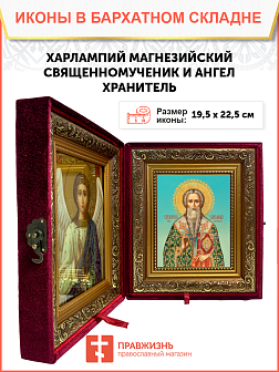 Икона святого Харлампия Магнезийского священномученика и епископа, 09Х1