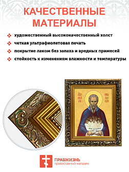 Образ святого Стилиана Пафлагонского, преподобного, 09С5 Образ святого Стилиана Пафлагонского, преподобного, 09С5