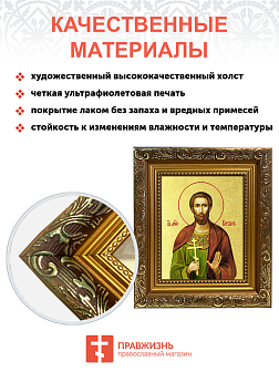 Икона "Феодот (Богдан) Адрианопольский", св. мч., с золочением поталью, 09Ф2-УЛ