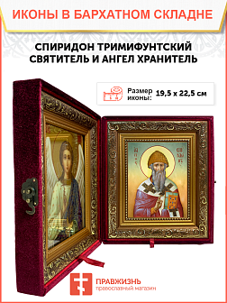 Образ святого Спиридона, епископа Тримифунтского, чудотворца, 09С15