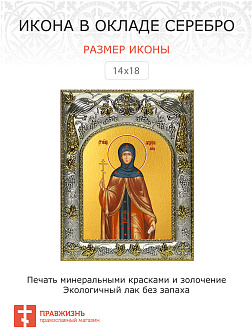 Икона Феодосия Константинопольская