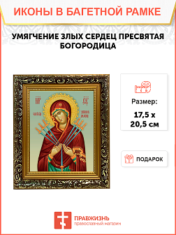 Образ Божией Матери "Умягчение злых сердец", 03У1