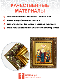 Икона Божией Матери "Всех Скорбящих Радость" с золочением поталью, 03010-УЛ