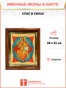 Образ Господа Иисуса Христа "Спас в Силах", 02004