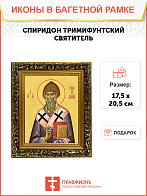 Образ святого Спиридона, епископа Тримифунтского, чудотворца, 09С6 Образ святого Спиридона, епископа Тримифунтского, чудотворца, 09С6