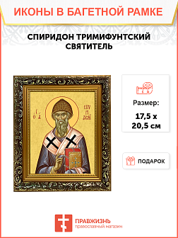 Образ святого Спиридона, епископа Тримифунтского, чудотворца, 09С6