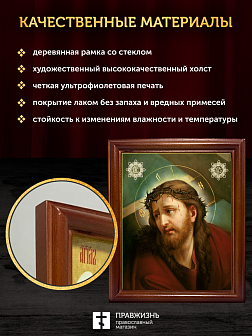 Икона Господь Иисус Христос в терновом венце, деревянная рамка со стеклом 15х18х2 см