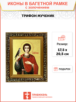 Икона "Трифон", св. мч., с золочением поталью, 09110-УЛ Икона "Трифон", св. мч., с золочением поталью, 09110-УЛ