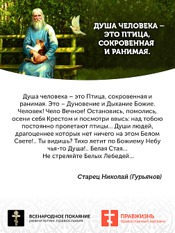 Царская Икона 025 Икона Великая княгиня Елизавета 22х26 072