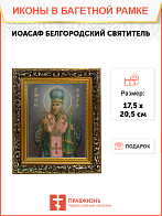 Образ святого Иоасафа (Горленко), Епископа Белгородского и Обоянского, 09И16