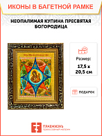 Икона Неопалимая Купина Божия Матерь на холсте в киоте 181
