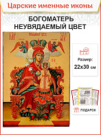 Икона Неувядаемый Цвет БМ 20х30 (165)
