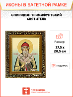 Образ святого Спиридона, епископа Тримифунтского, чудотворца, 09102 Образ святого Спиридона, епископа Тримифунтского, чудотворца, 09102
