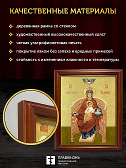 Икона Божией Матери Державная с золочением, деревянная рамка со стеклом 15х18х2 см 014