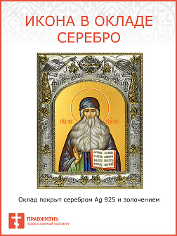 Икона Максим Грек