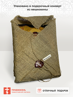 Икона Преподобный Стилиан Пафлагонский