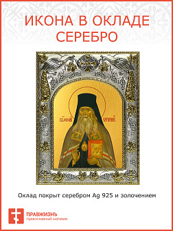 Икона Феофан Затворник, Вышенский, святитель, чудотворец