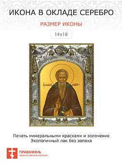 Икона Евфимий Великий