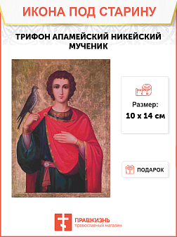 Икона ТРИФОН Апамейский, Никейский, Мученик (ПОД СТАРИНУ)