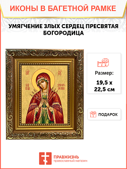 Образ Божией Матери "Умягчение злых сердец", 03У5