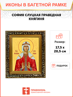 Образ святой Софии Слуцкой, праведной княгини, 10С2