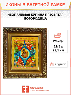 Икона Неопалимая Купина Божия Матерь на холсте в киоте 181