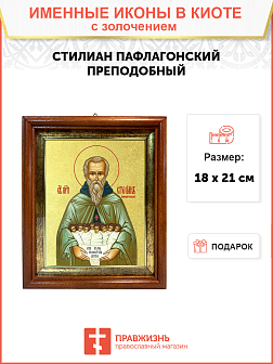 Икона "Стилиан Пафлагонский", св. прп., с золочением поталью, 09С9-УЛ
