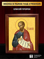 Икона Елисей пророк, деревянная рамка со стеклом 15х18х2 см 177