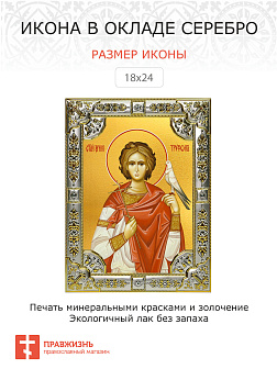 Икона Трифон Апамейский святой мученик