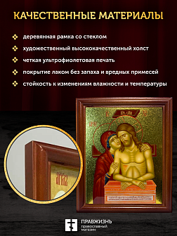 Икона Не рыдай Мене Мати с золочением, деревянная рамка со стеклом 15х18х2 см 1223