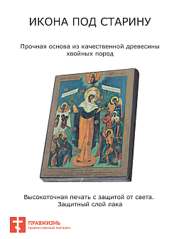 Икона Пресвятой Богородицы Всех Скорбящих Радость