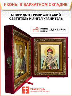 Образ святого Спиридона, епископа Тримифунтского, чудотворца, 09102