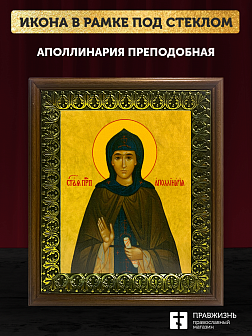 Икона Аполлинария преподобная, деревянная рамка с басмой и стеклом 18х21х2,5 см 031