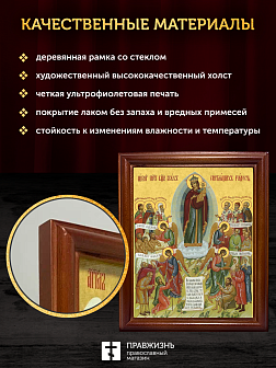 Икона Божией Матери Всех Скорбящих Радость, деревянная рамка со стеклом 15х18х2 см 153 Икона Божией Матери Всех Скорбящих Радость, деревянная рамка со стеклом 15х18х2 см 153