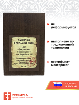 Икона Спас из Деисусного чина Звенигородский, Андрей Рублев