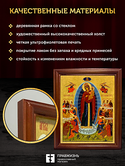 Икона Божией Матери Всех Скорбящих Радость, деревянная рамка со стеклом 15х18х2 см 153 Икона Божией Матери Всех Скорбящих Радость, деревянная рамка со стеклом 15х18х2 см 153