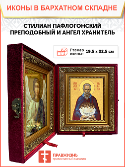 Образ святого Стилиана Пафлагонского, преподобного, 09С5 Образ святого Стилиана Пафлагонского, преподобного, 09С5