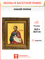 Образ святого Елисея, Пророка ветхозаветного, 09Е1