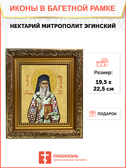 Образ святого Нектария (Кефаласа), митрополита Эгинского и Пентапольского, 09Н8