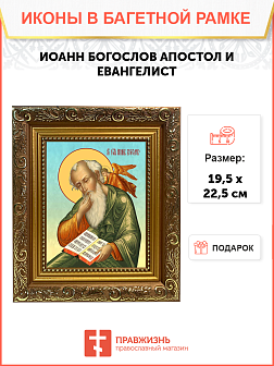 Образ святого Иоанна Богослова, апостола и евангелиста, 09И4 Образ святого Иоанна Богослова, апостола и евангелиста, 09И4