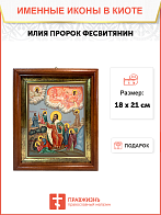 Образ святого святого Илии Пророка Фесвитянина, 09И20 Образ святого святого Илии Пророка Фесвитянина, 09И20