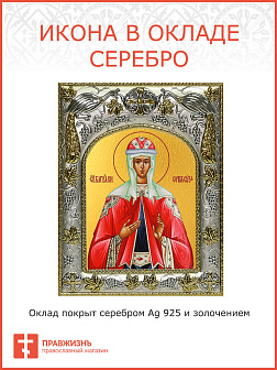 Икона София Суздальская