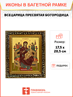Образ Божией Матери "Всецарица", 03В6